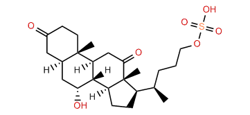 3,12-Diketo-7a-hydroxy-5a-cholan-24-sulfate